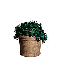 Rubbermaid / United Receptacle FGFGPF3025SAH Milan Collection Fiberglass Planter - 30" Dia. x 25" H - Sahara in color